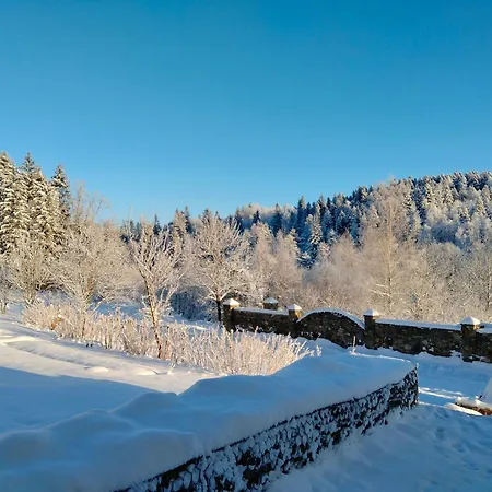 Herberg рудий лис *