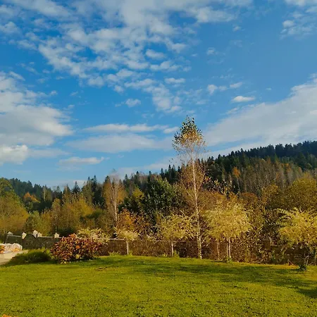 рудий лис * Skhidnytsia