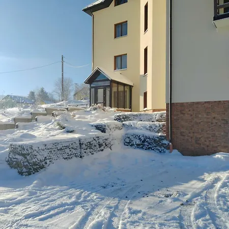 рудий лис Skhidnytsia