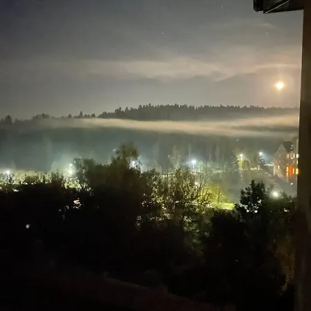 рудий лис Skhidnytsia
