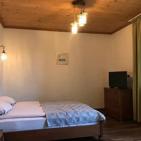 рудий лис Skhidnytsia