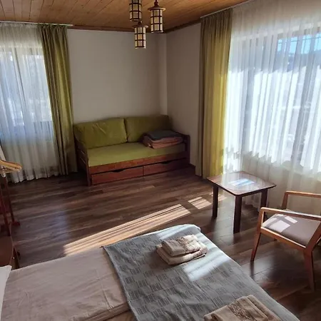 рудий лис Skhidnytsia