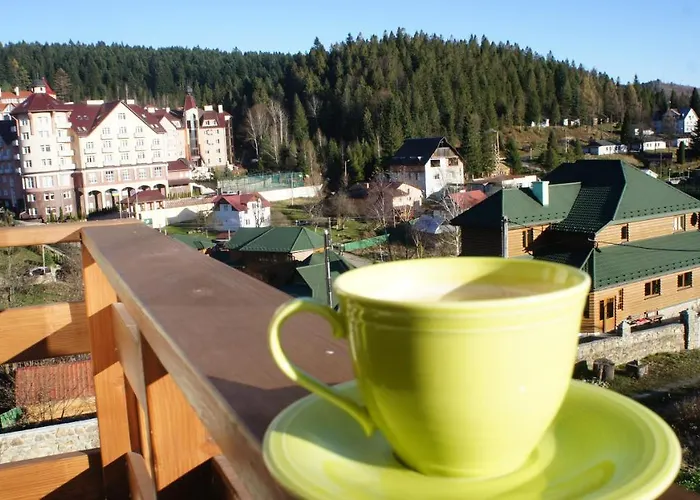рудий лис Mini-hôtel Skhidnytsia