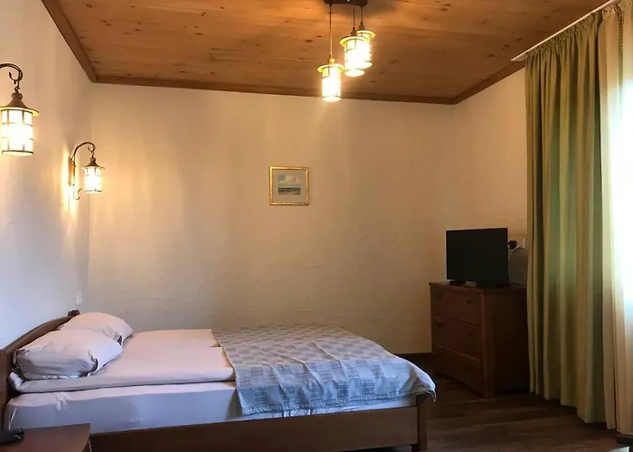 рудий лис Skhidnytsia